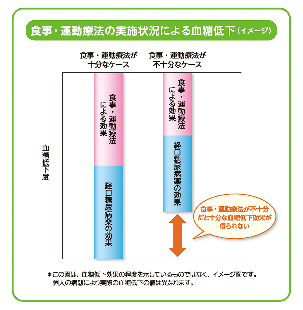 血糖低下効果を十分に得るためには食事・運動療法が重要です　食事・運動療法の実地状況による血統低下（イメージ）